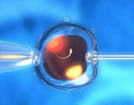 异地社保可以报销生育险吗，怀孕到生孩子花了15000元